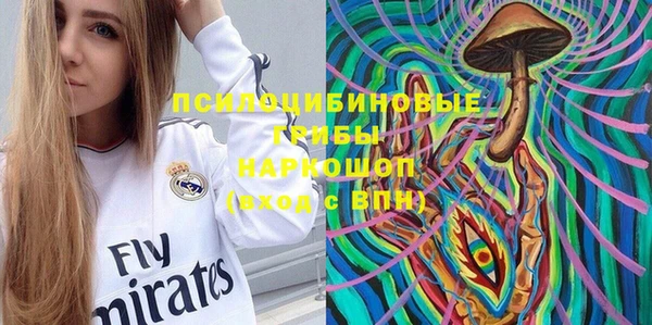 гашик Лагань