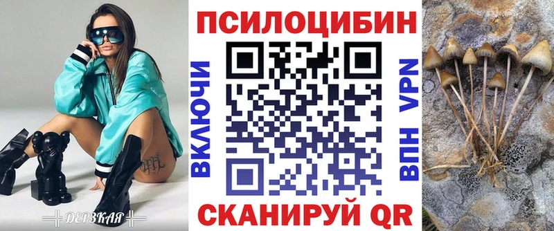 Купить где Глазов Псилоцибиновые грибы MAGIC MUSHROOMS